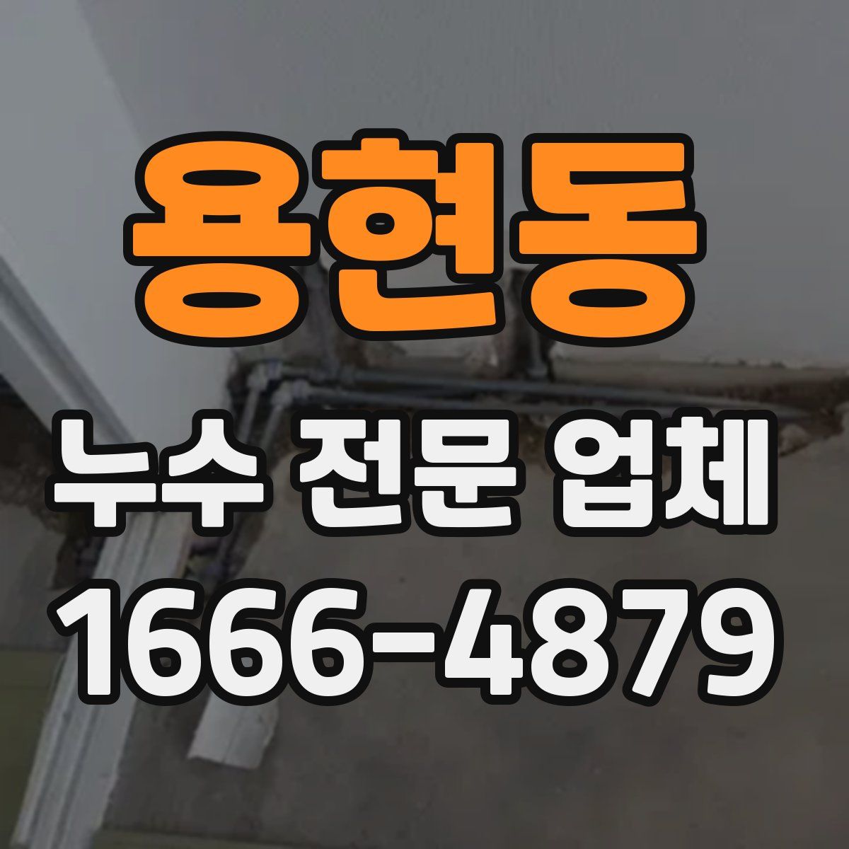 용현동 누수 전문 업체