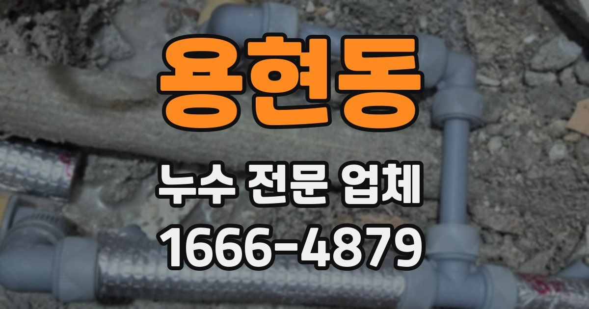 용현동 누수 전문 업체