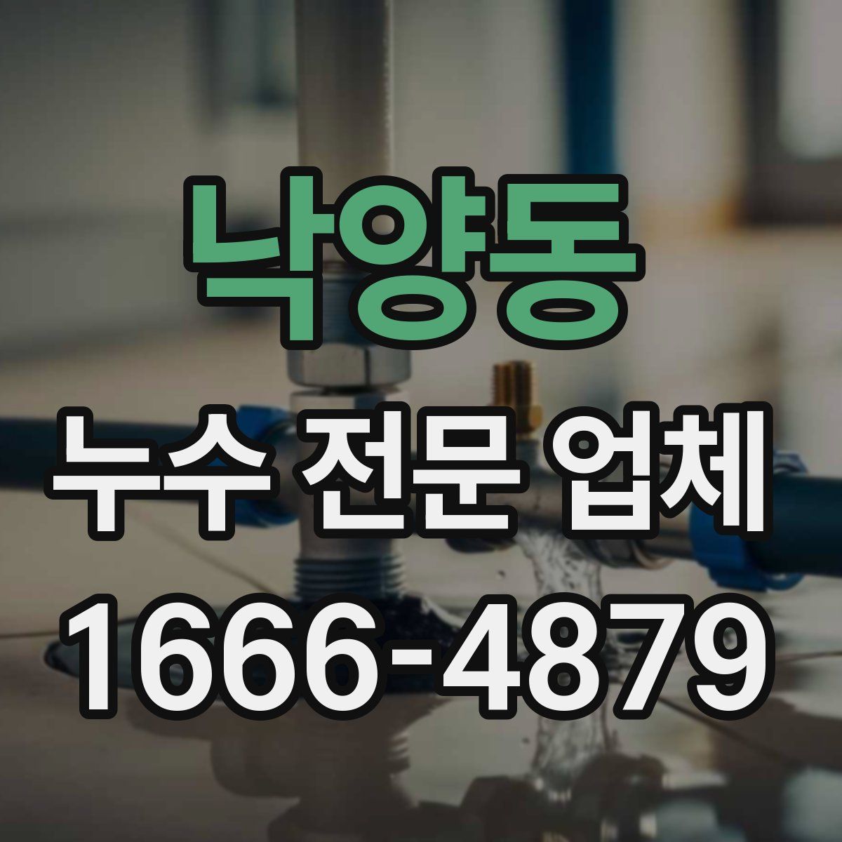 낙양동 누수 전문 업체