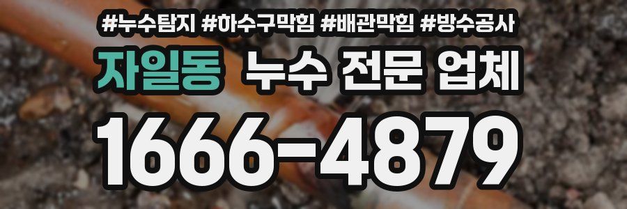 자일동 누수 전문 업체