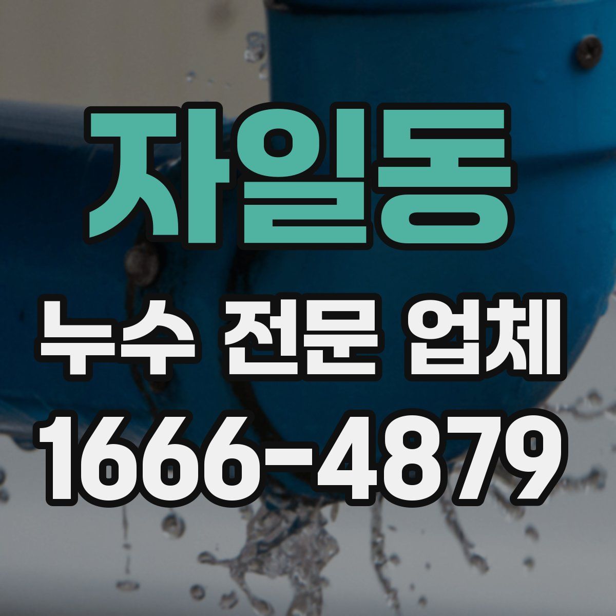 자일동 누수 전문 업체