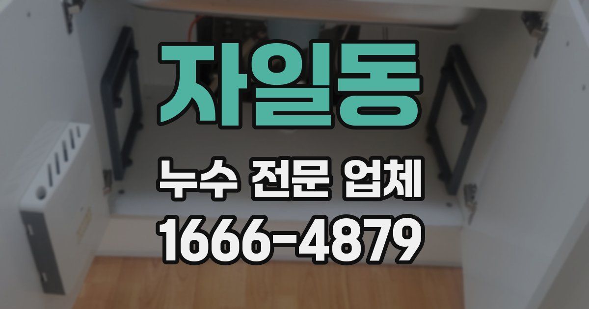 자일동 누수 전문 업체