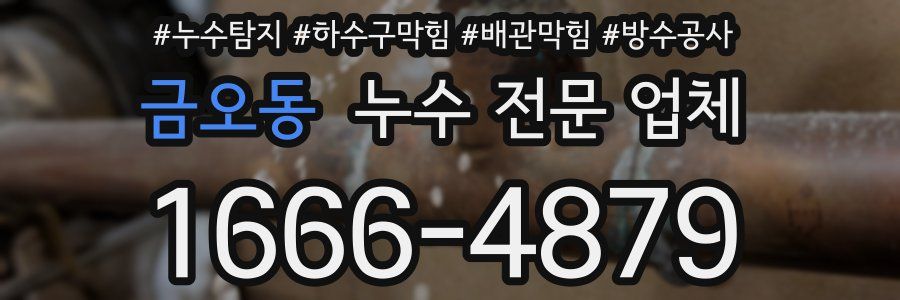 금오동 누수 전문 업체