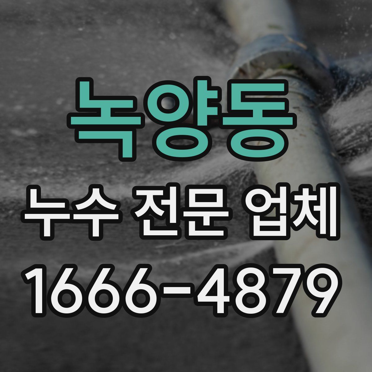 녹양동 누수 전문 업체