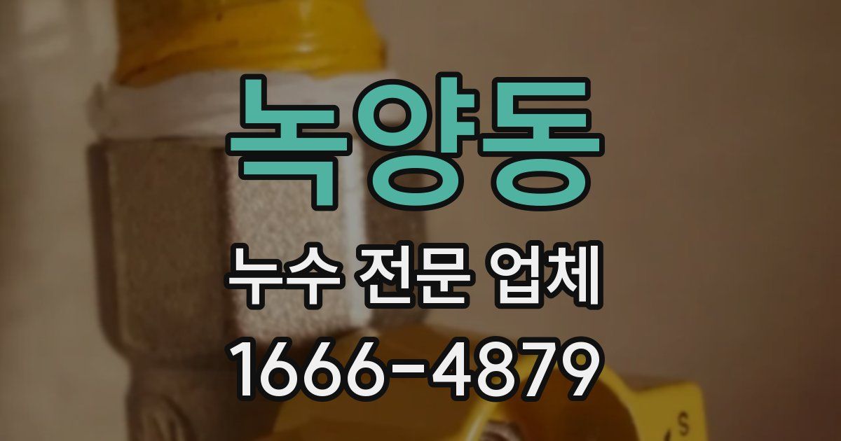녹양동 누수 전문 업체