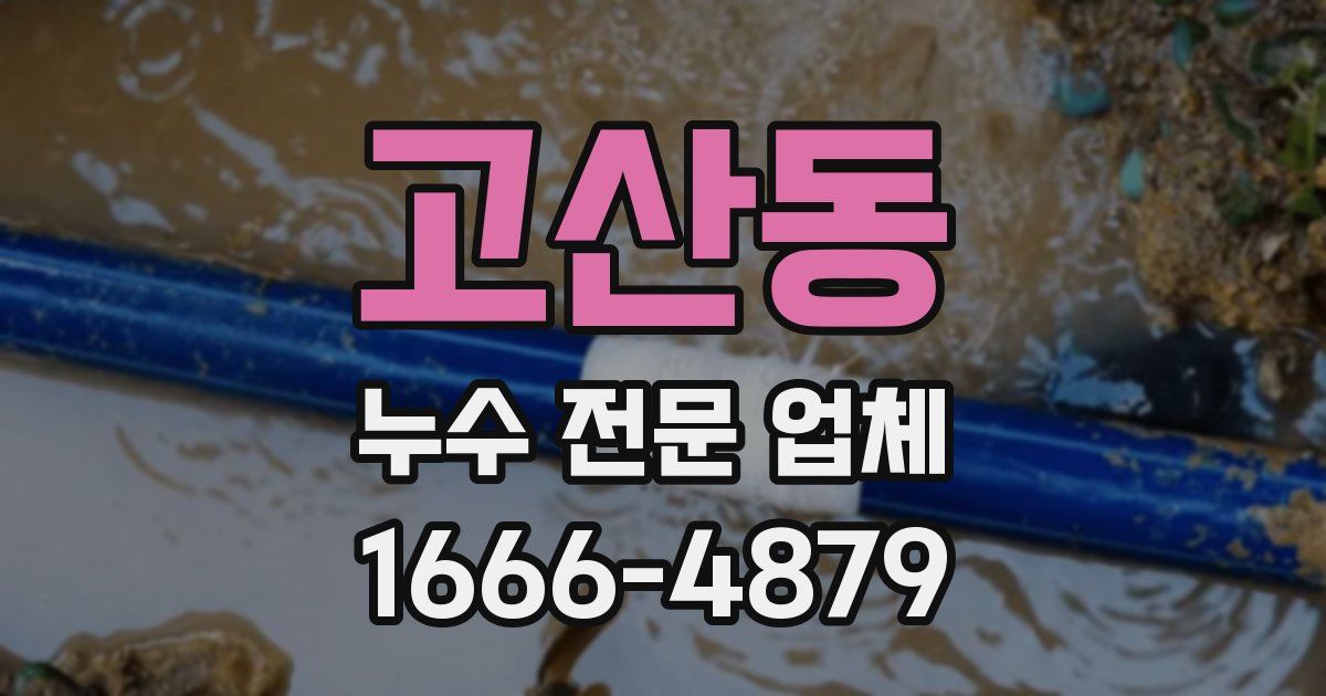 고산동 누수 전문 업체