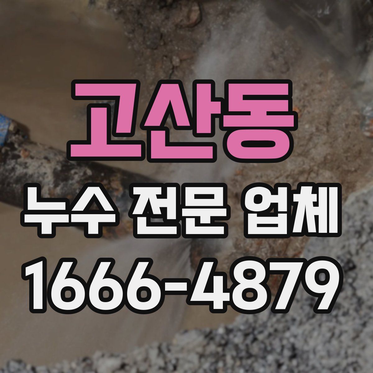고산동 누수 전문 업체