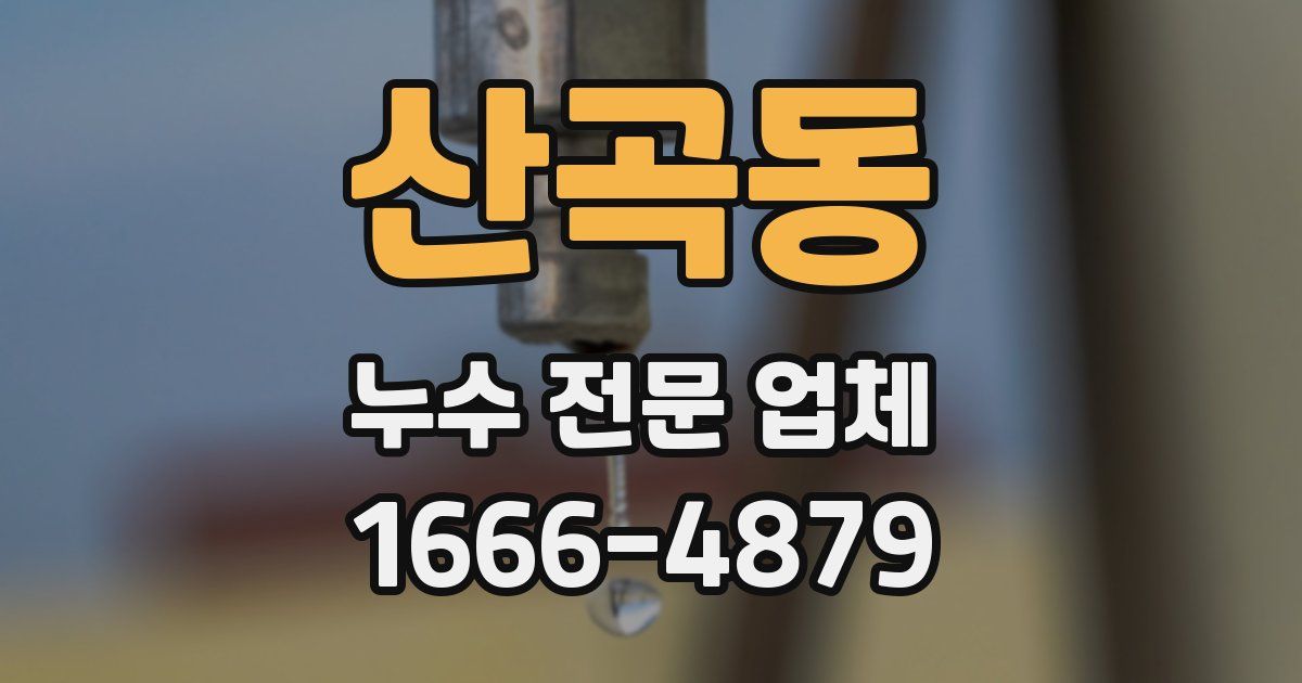 산곡동 누수 전문 업체