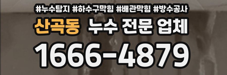 산곡동 누수 전문 업체