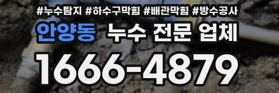안양동 누수 전문 업체