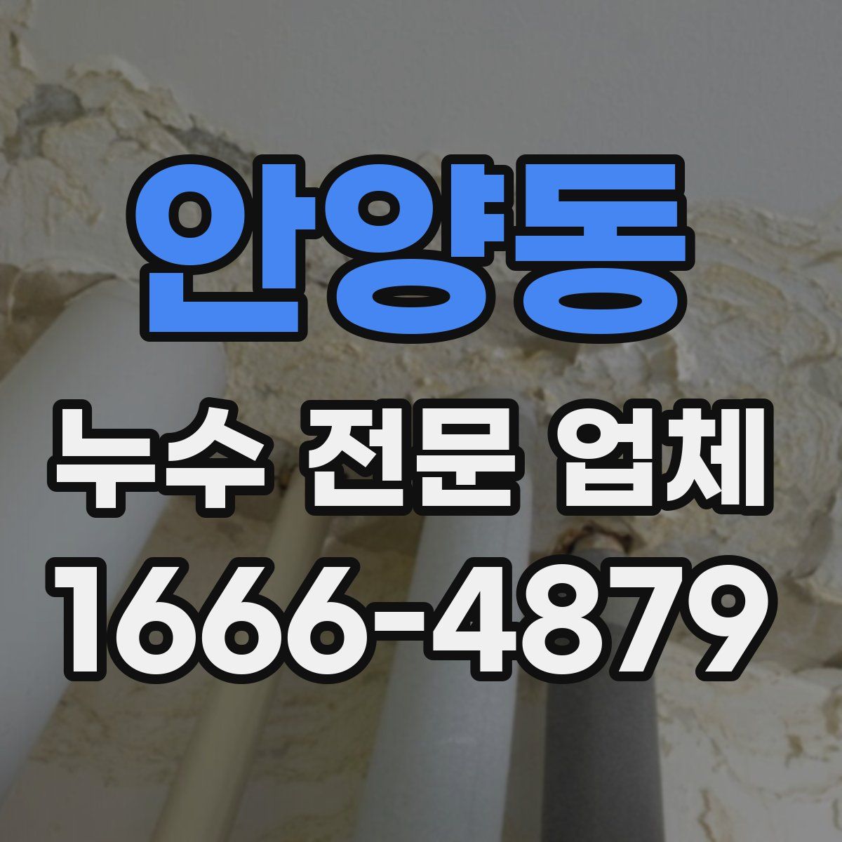 안양동 누수 전문 업체