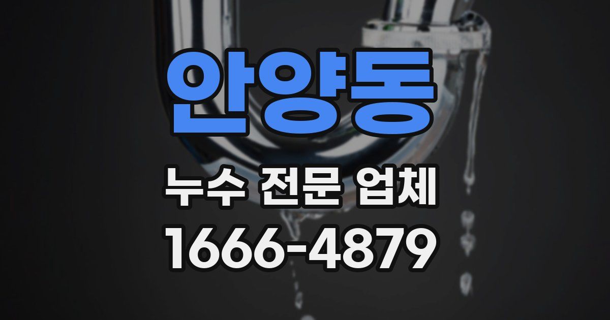 안양동 누수 전문 업체