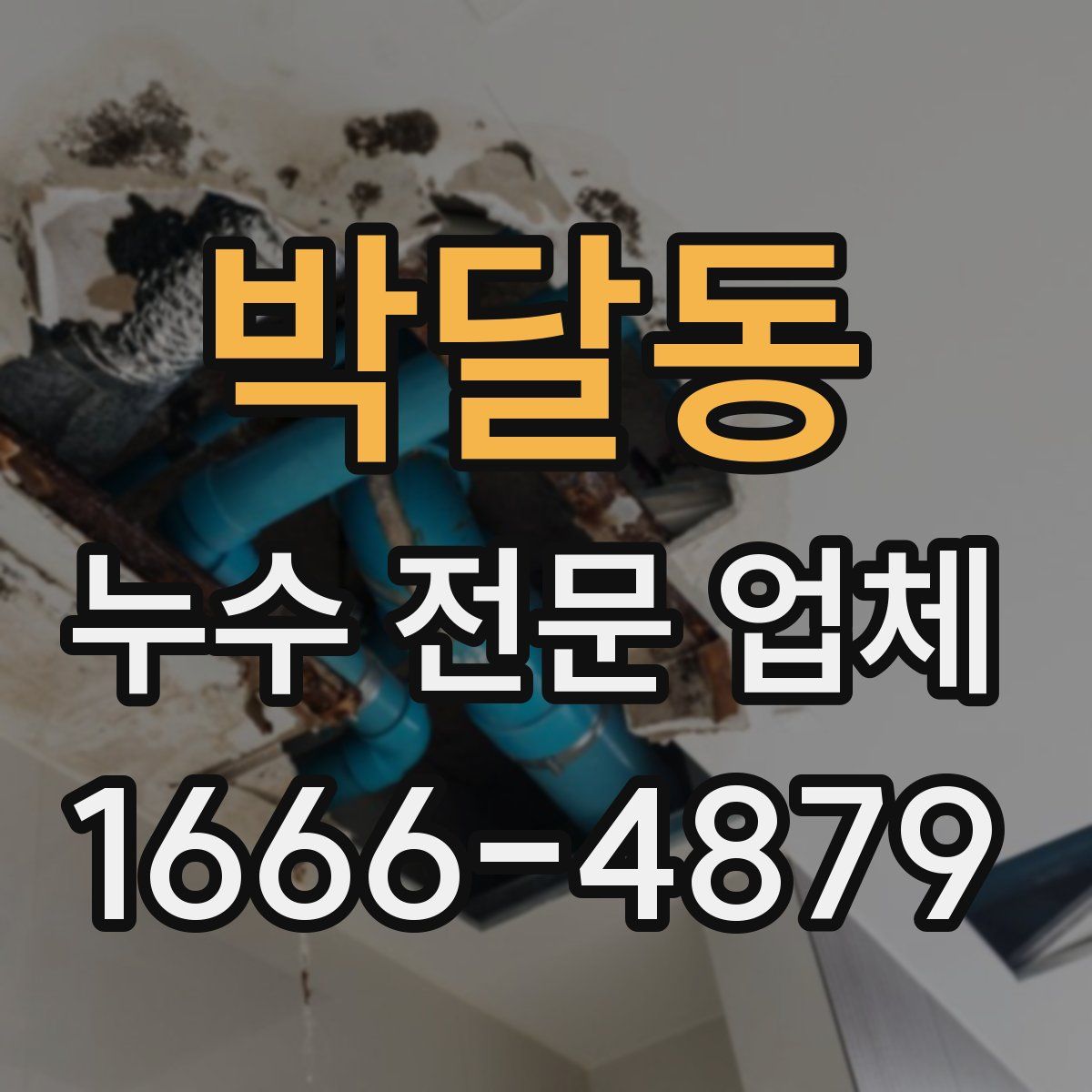 박달동 누수 전문 업체