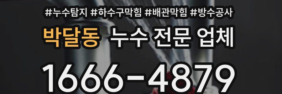 박달동 누수 전문 업체