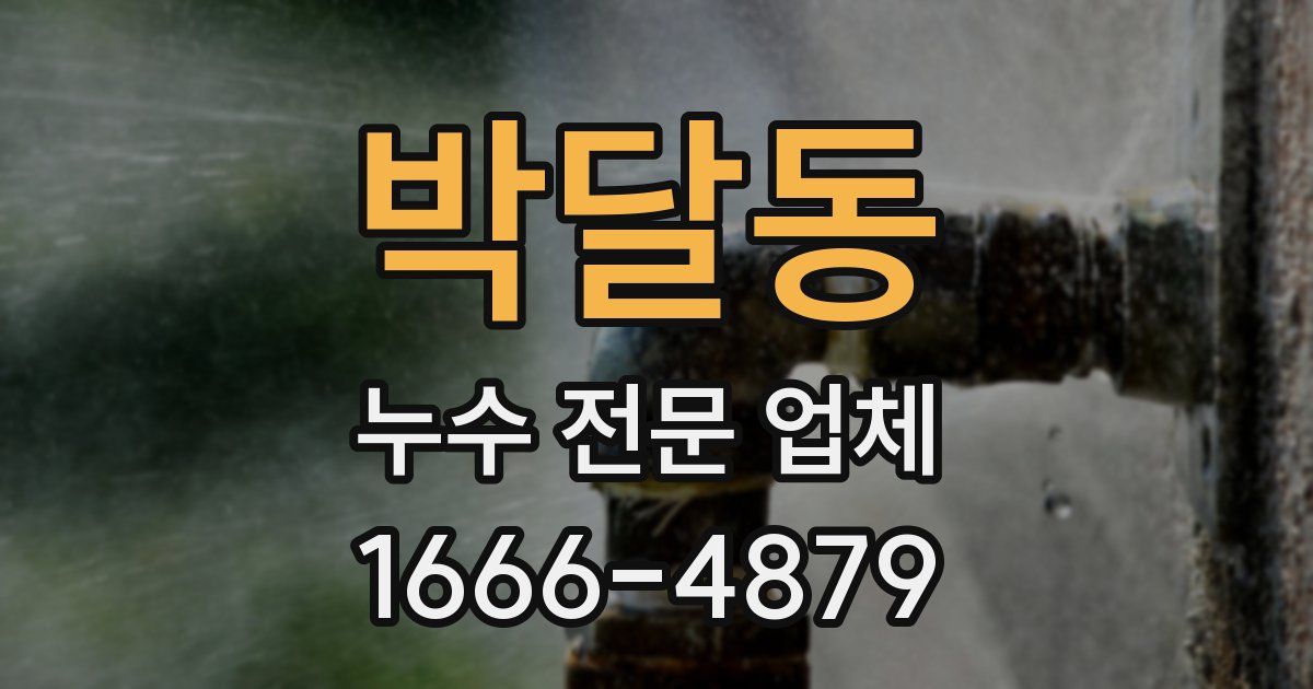 박달동 누수 전문 업체