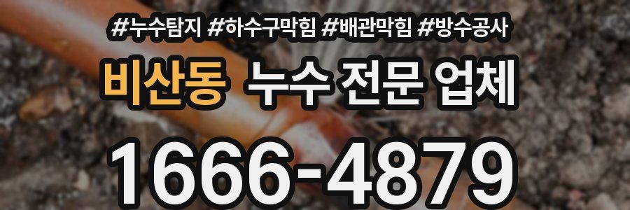 비산동 누수 전문 업체