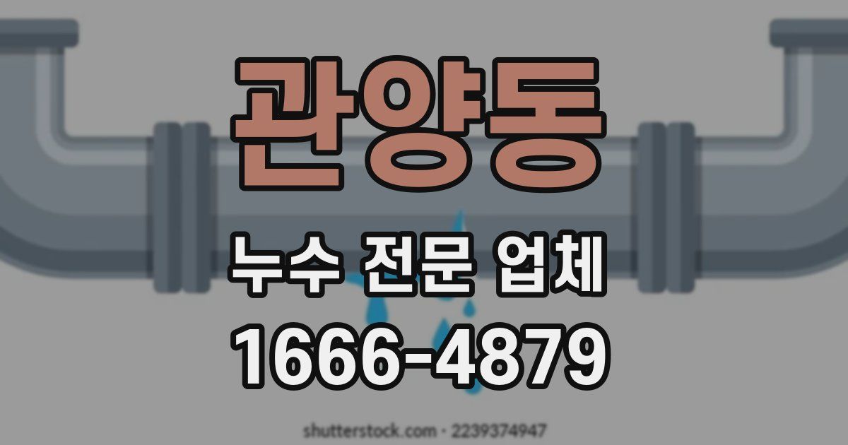 관양동 누수 전문 업체