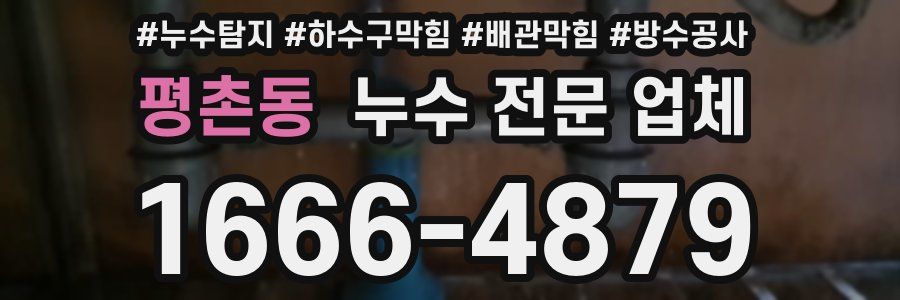 평촌동 누수 전문 업체