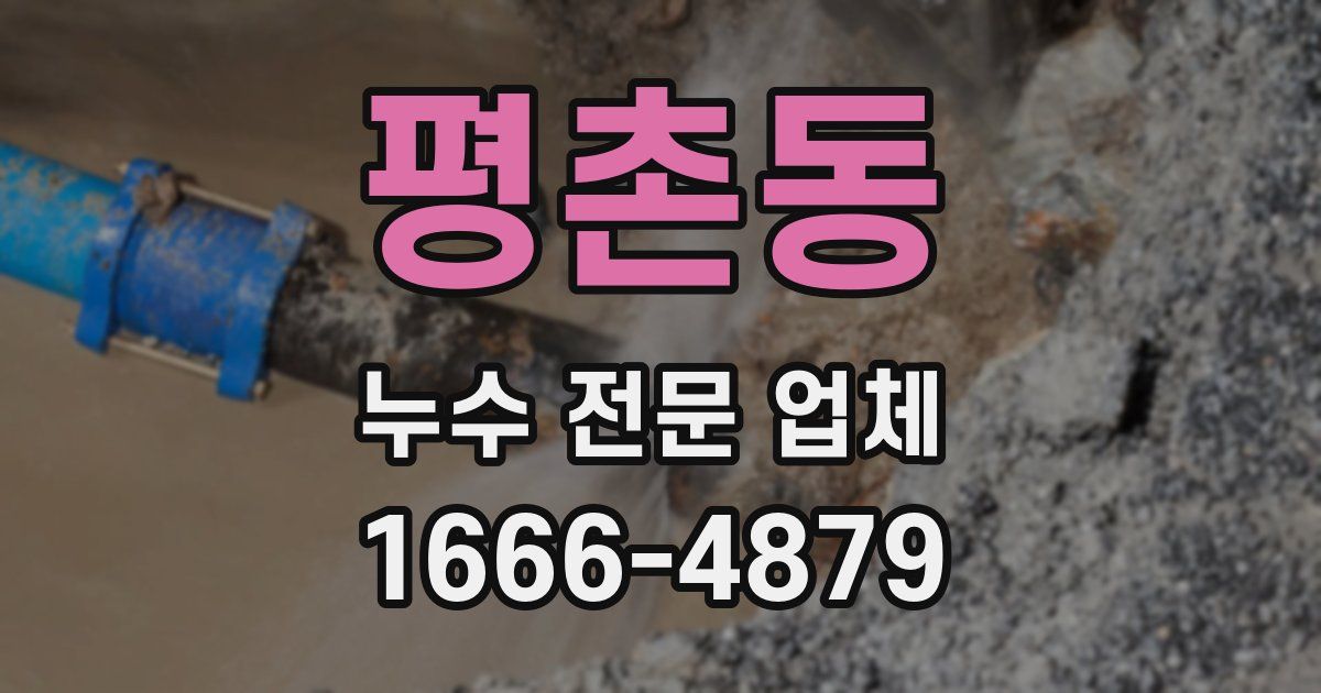 평촌동 누수 전문 업체