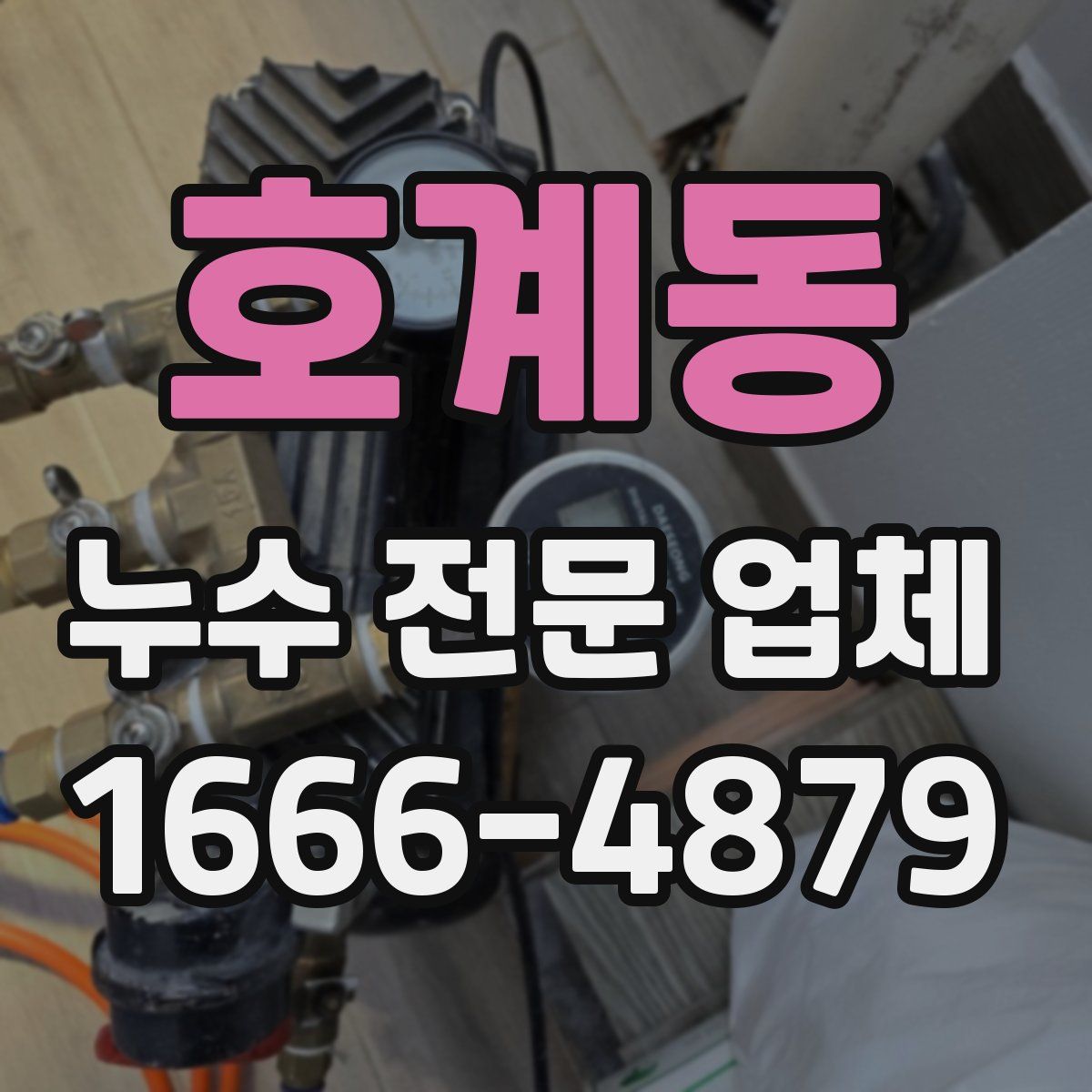 호계동 누수 전문 업체