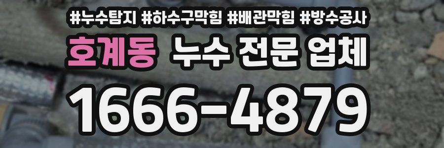 호계동 누수 전문 업체