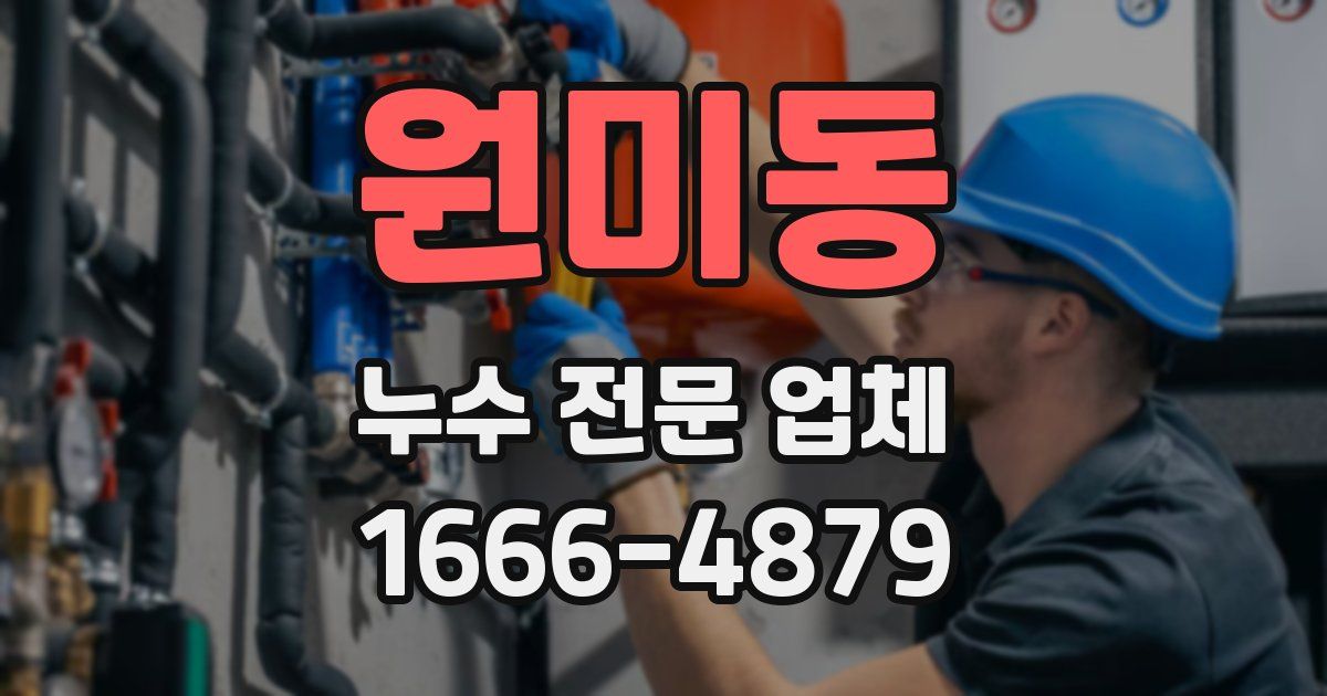 원미동 누수 전문 업체