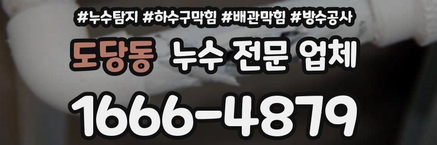 도당동 누수 전문 업체