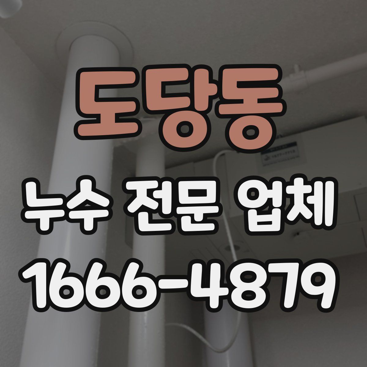 도당동 누수 전문 업체