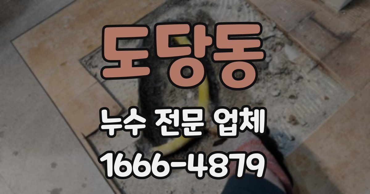 도당동 누수 전문 업체