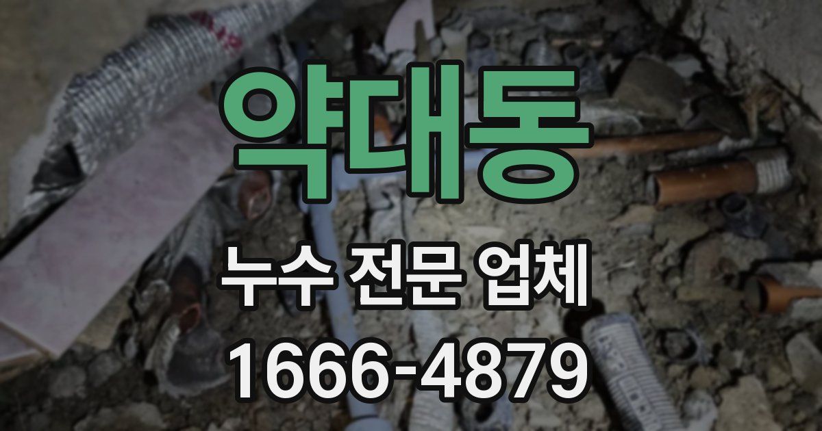 약대동 누수 전문 업체
