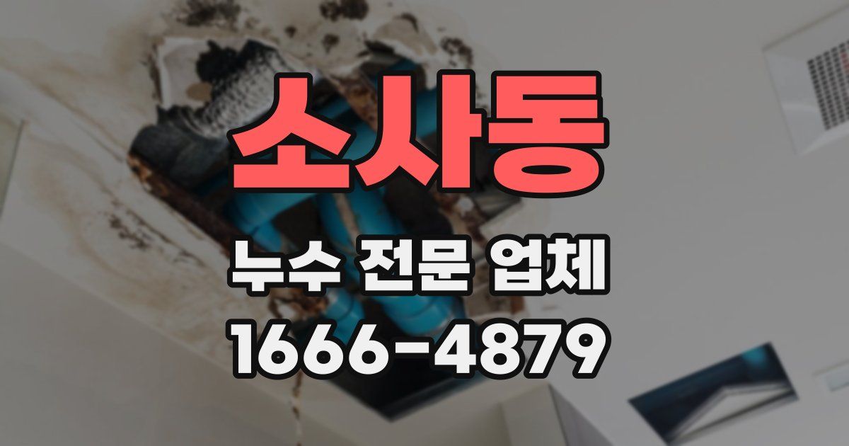 소사동 누수 전문 업체