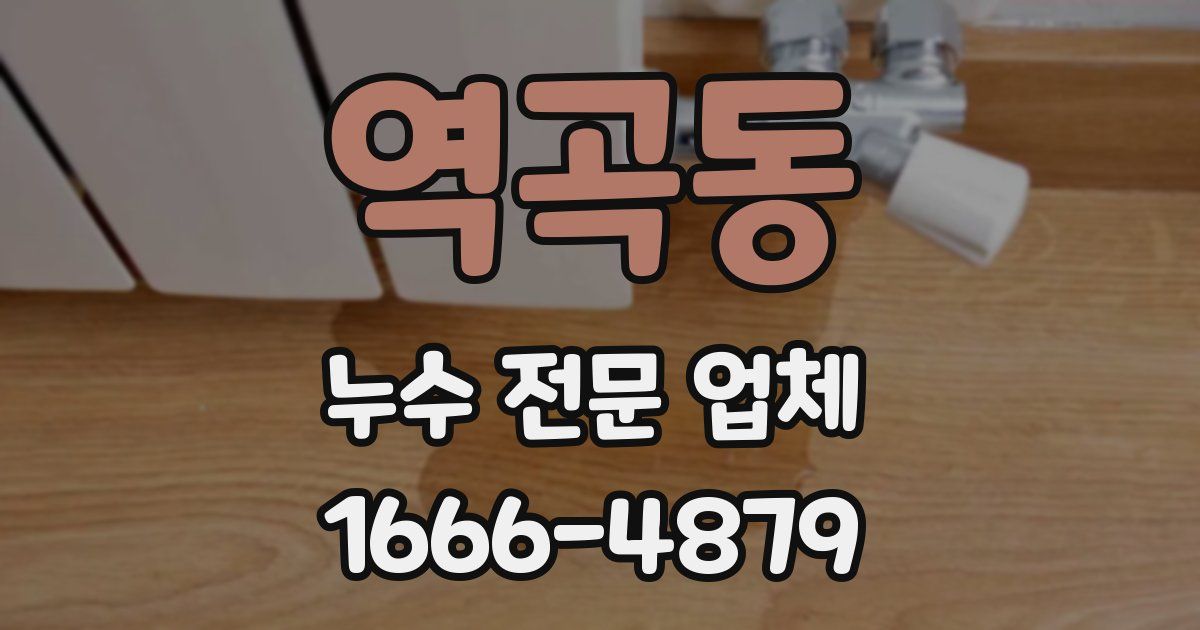 역곡동 누수 전문 업체