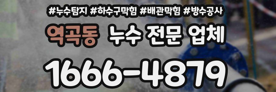 역곡동 누수 전문 업체