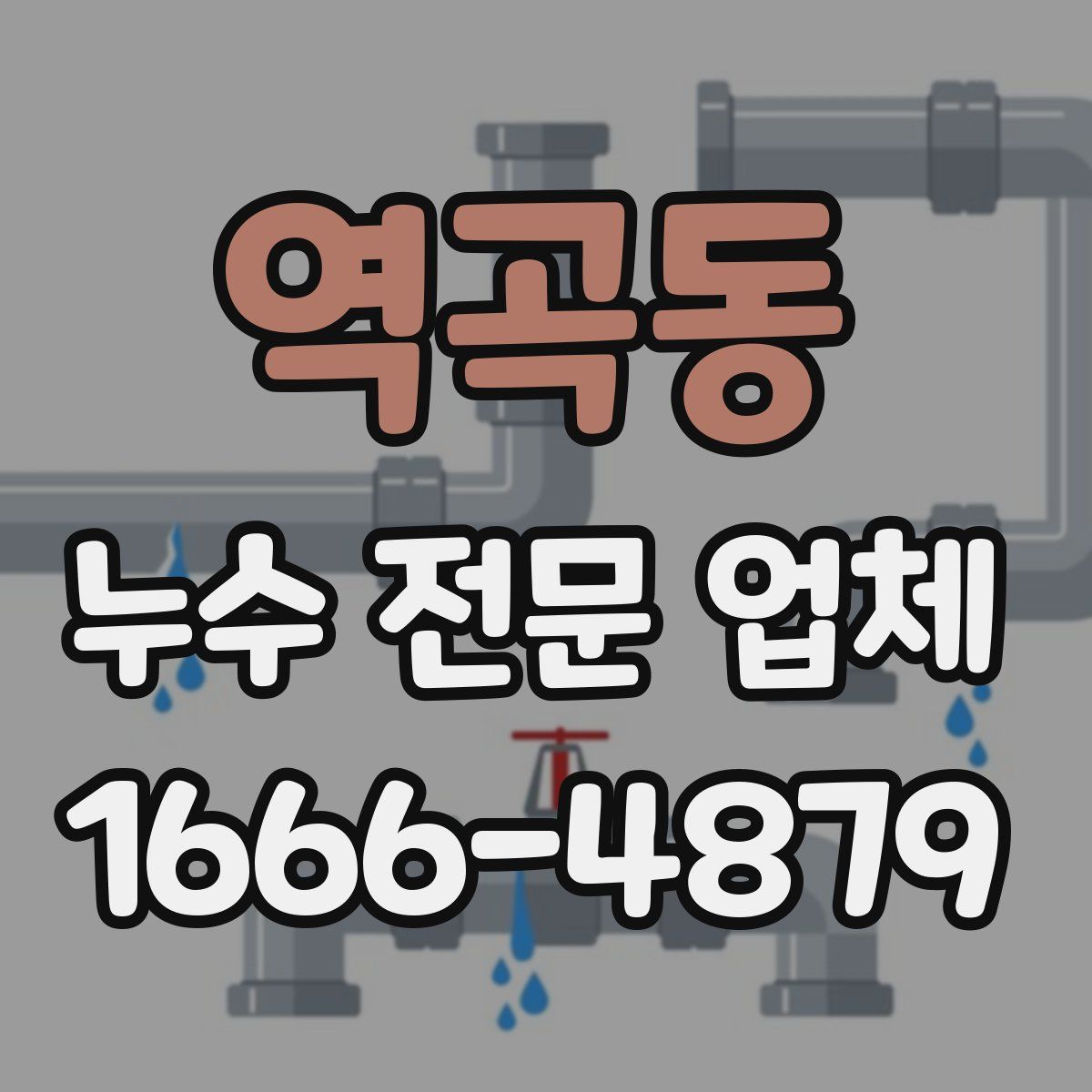 역곡동 누수 전문 업체