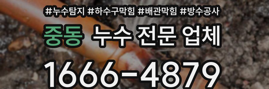 중동 누수 전문 업체