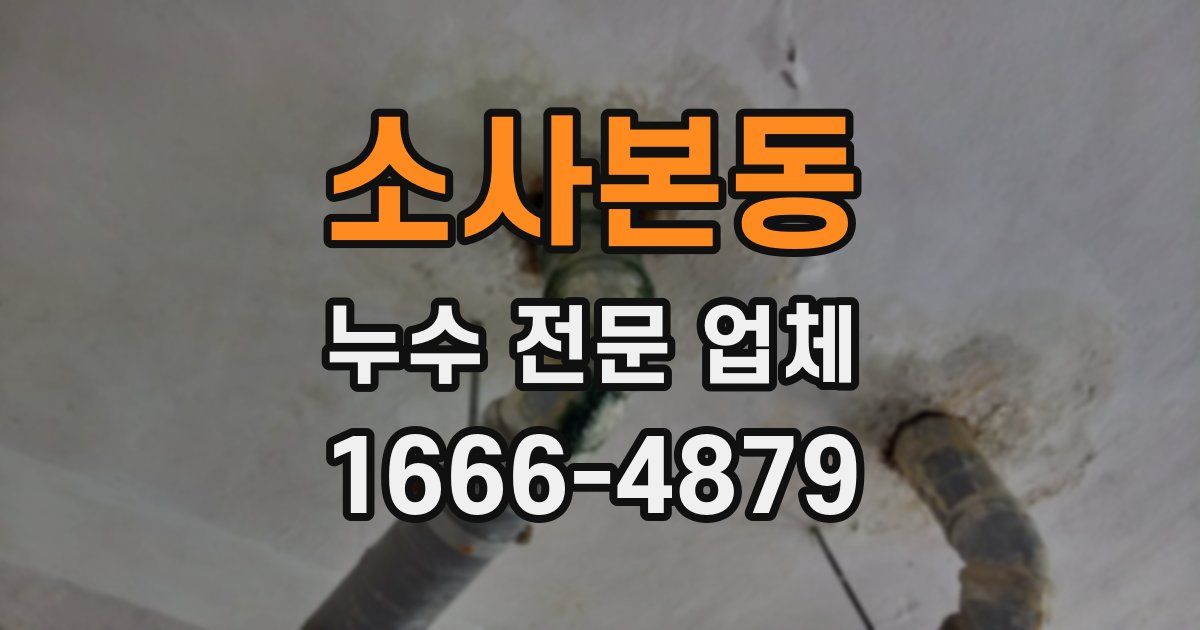 소사본동 누수 전문 업체