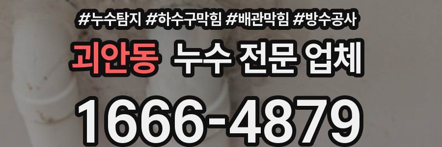 괴안동 누수 전문 업체