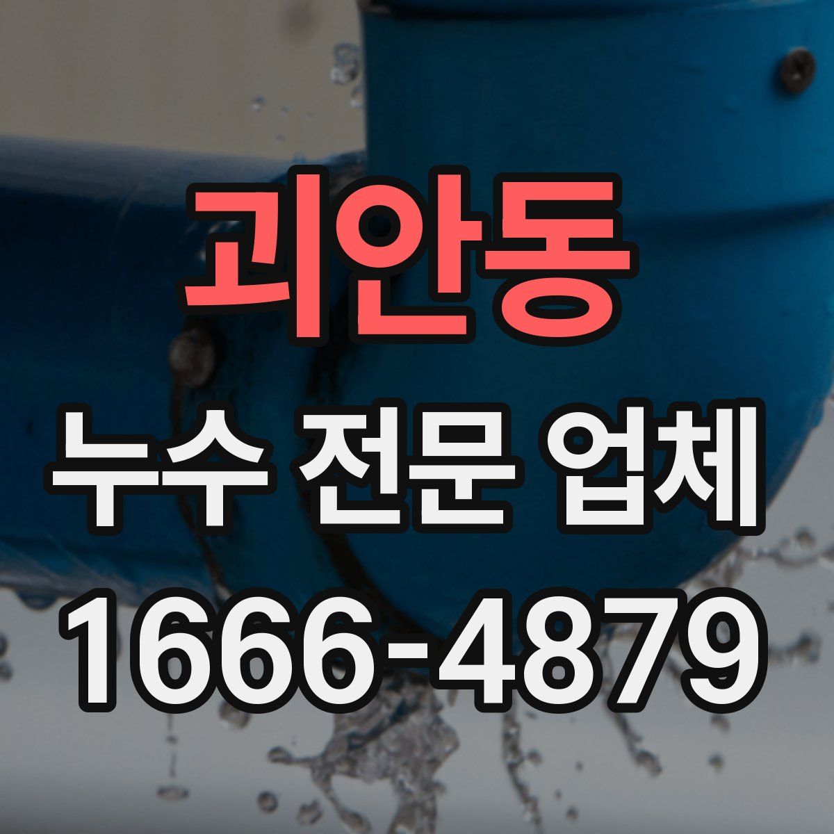 괴안동 누수 전문 업체