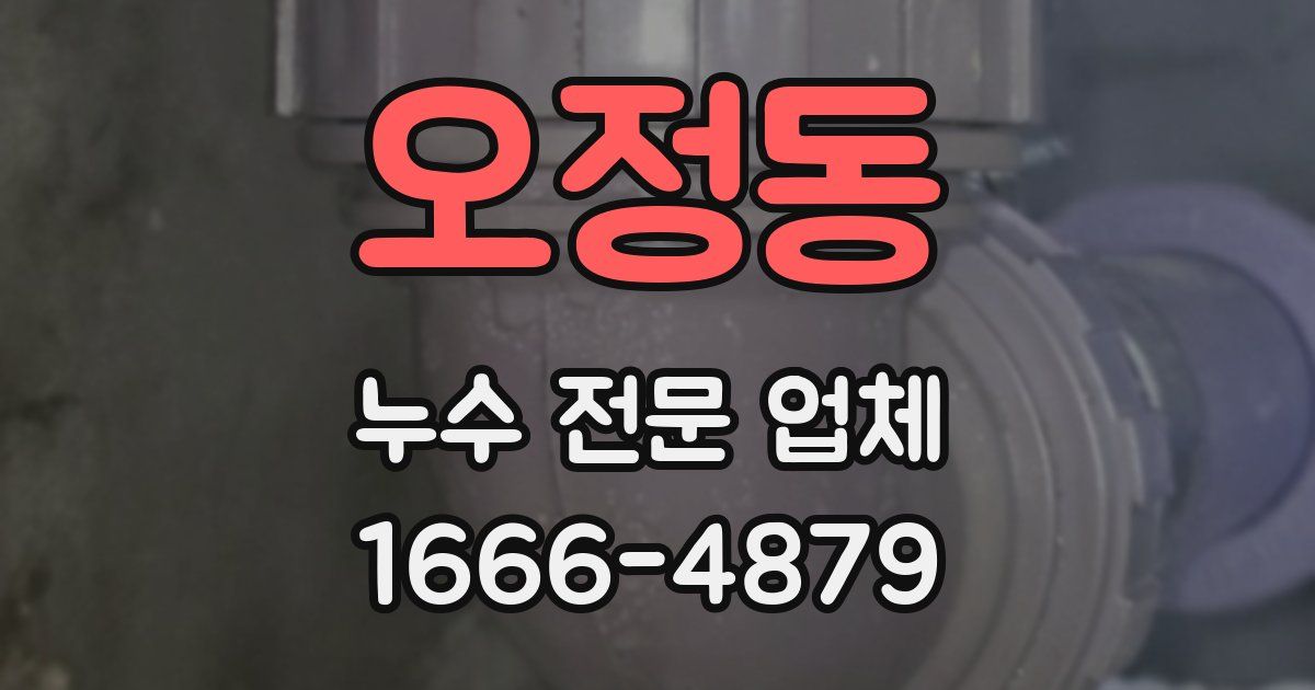 오정동 누수 전문 업체
