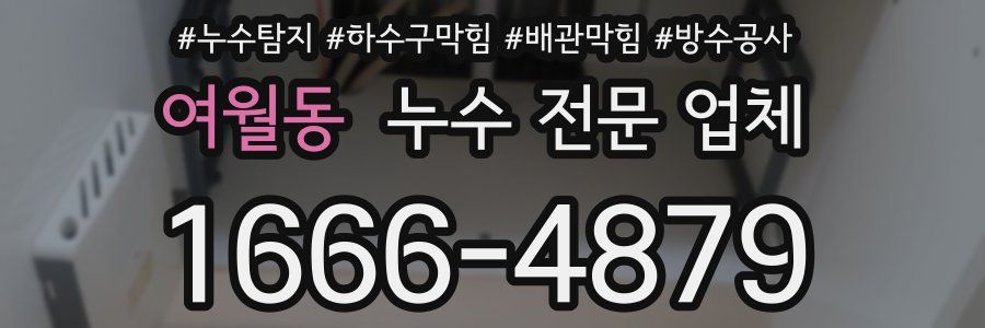 여월동 누수 전문 업체