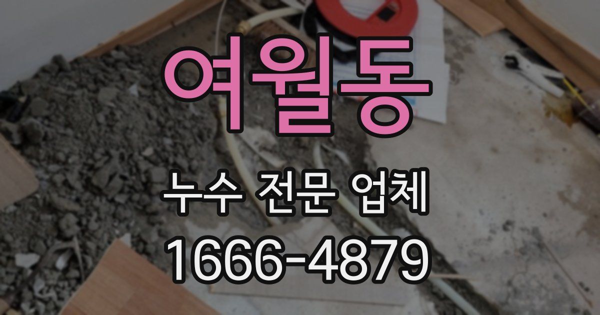 여월동 누수 전문 업체
