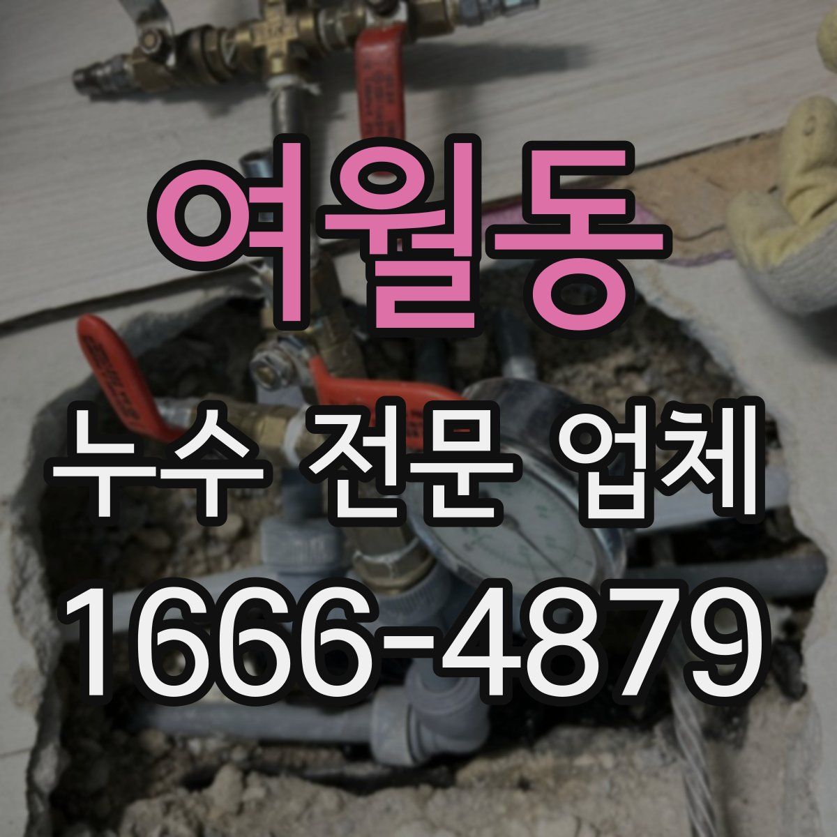 여월동 누수 전문 업체