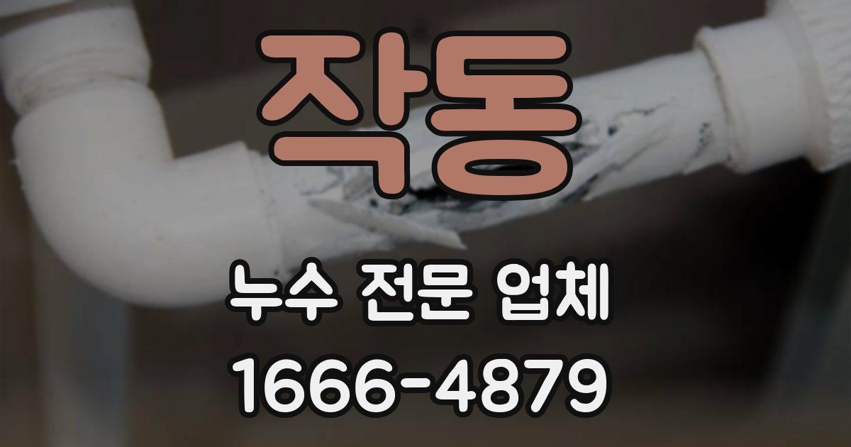 작동 누수 전문 업체
