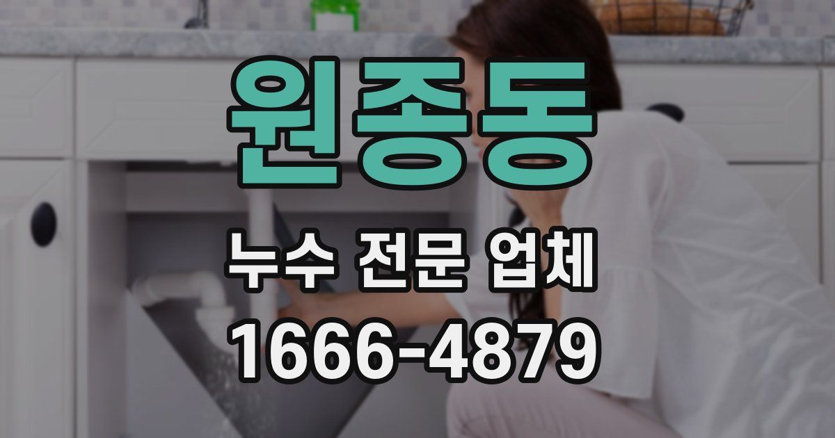원종동 누수 전문 업체