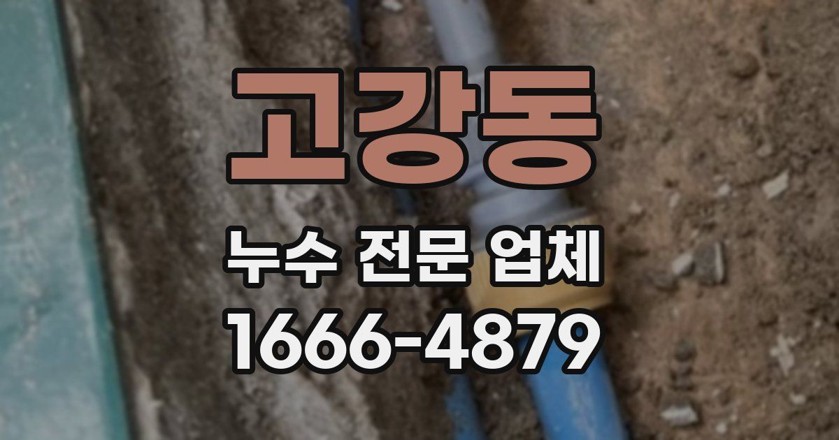 고강동 누수 전문 업체