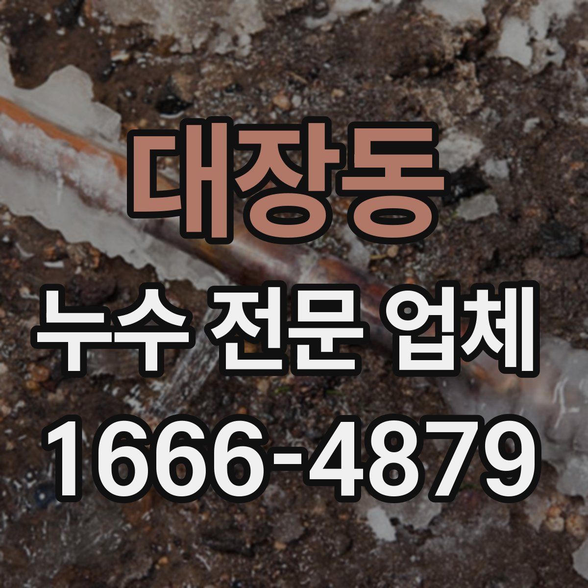 대장동 누수 전문 업체