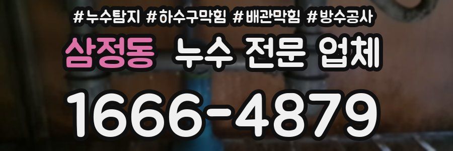 삼정동 누수 전문 업체