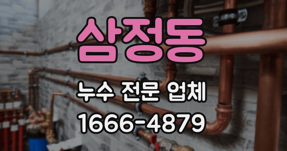 삼정동 누수 전문 업체