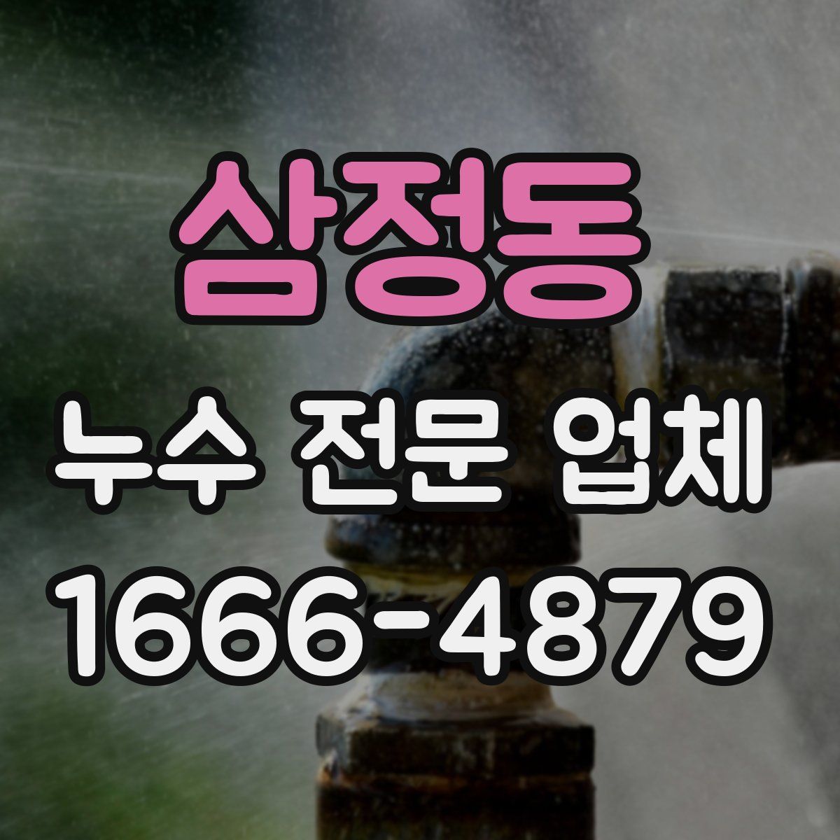 삼정동 누수 전문 업체