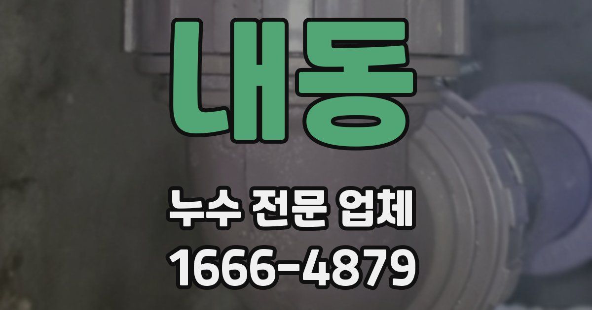 내동 누수 전문 업체
